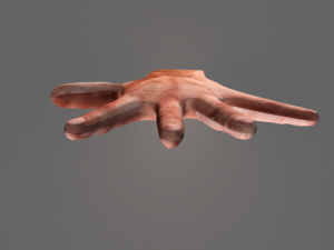humen hand 3D-Modell