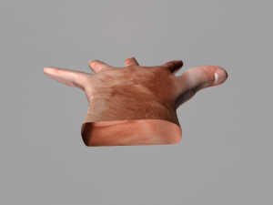 humen hand 3D-Modell