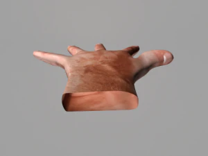 humen hand 3D Model