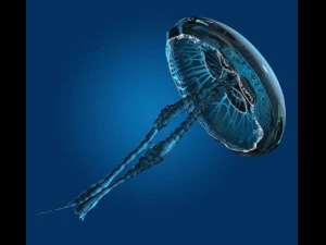 медуза 3D Модель