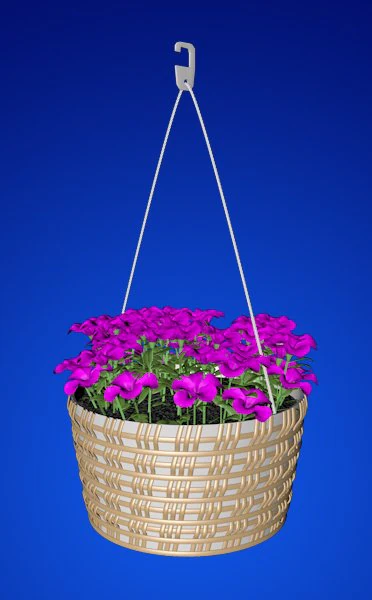 petunia 3D Model .c4d .max .obj .3ds .fbx .stl .blend