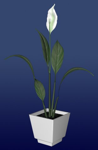 vase with flower 3D-Modell .c4d .max .obj .3ds .fbx .stl .blend 