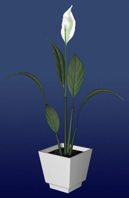 vase with flower 3D Model .c4d .max .obj .3ds .fbx .stl .blend 