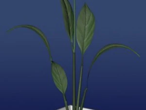 vase with flower 3D Model
