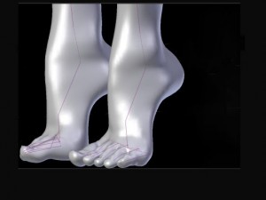 legs and feet high feet Modelo 3D