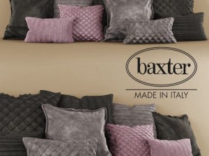 baxter pillow 3D Model