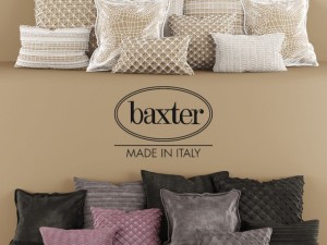 baxter pillow Modelo 3D