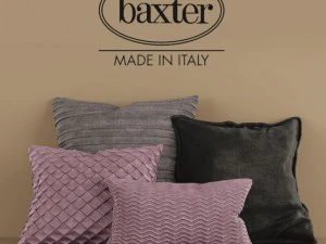Baxter-Kissen 3D Modell