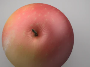 apple 3D Model