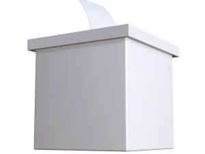 blank election box ballot campaign mockup 3D Model