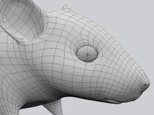 Maus 3D Modell