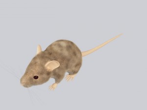 Mouse Modelo 3D