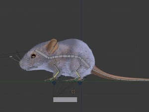Maus 3D Modell
