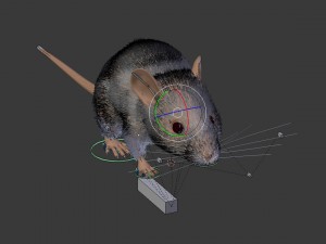 Mouse Modelo 3D