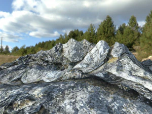 alienstone 3D Model