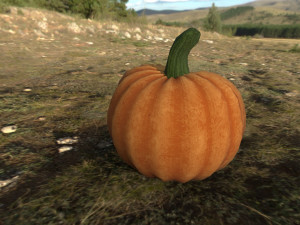 pumpkin stylized Modello 3D
