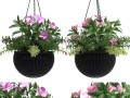 hanging basket 3D Model