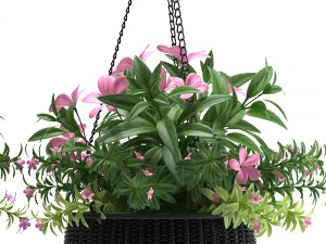 hanging basket Modello 3D