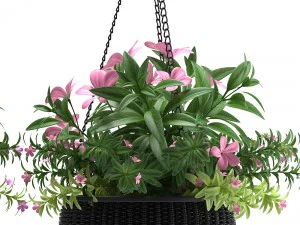 hanging basket 3D Model