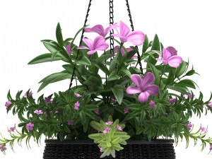 hanging basket Modello 3D