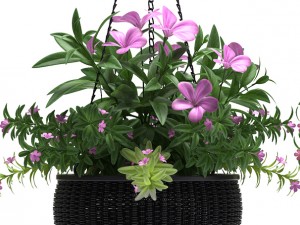 hanging basket Modello 3D