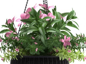 hanging basket Modello 3D