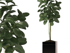 ゴム工場 3Dモデル