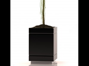 rubber plant 3D 모델