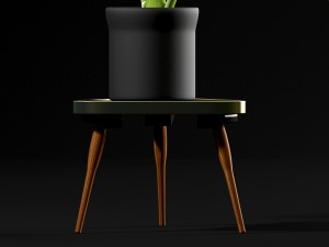 swiss cheese plant Modèle 3D
