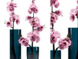 spring flower 3D Model