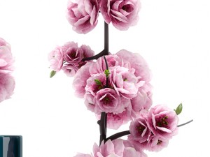 spring flower 3D Model