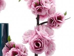 spring flower 3D Model