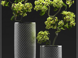 flower vase set 3D Модель