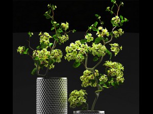 flower vase set 3D Модель