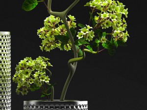 flower vase set 3D Модель