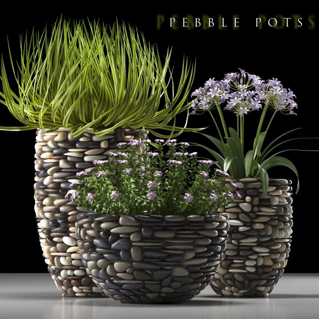 plant 57 3D Model .c4d .max .obj .3ds .fbx .stl .blend 
