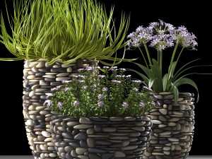 plant 57 3D Model