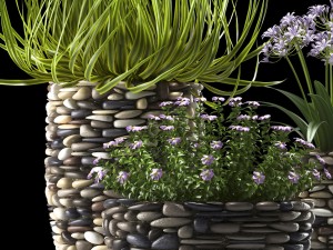 plant 57 3D Model