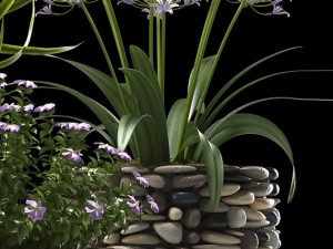 plant 57 3D Model