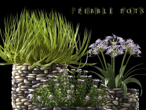 plant 57 3D Model