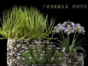 plant 57 3D Model