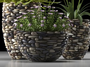plant 57 3D Model