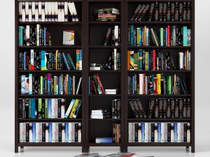 books vol 2 Modelo 3D