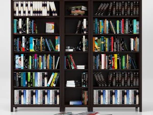 书籍第二卷 3D 模型