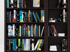 books vol 2 3D Model