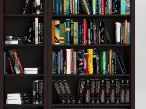 books vol 2 3D Model