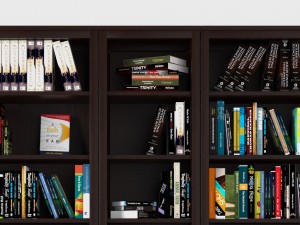 books vol 2 3Dモデル