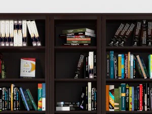 books vol 2 3D Model