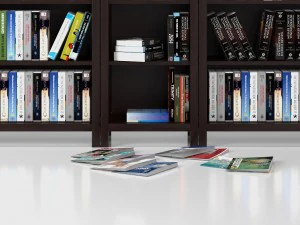 books vol 2 3D Model