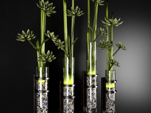 decor plant 3Dモデル